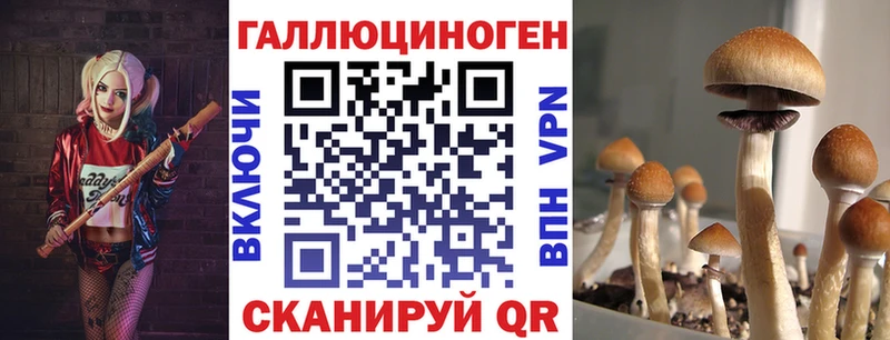 hydra tor  наркота  Заполярный  Псилоцибиновые грибы Psilocybe 
