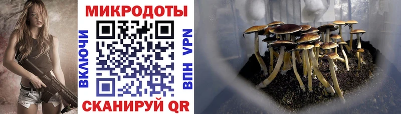Псилоцибиновые грибы GOLDEN TEACHER Заполярный